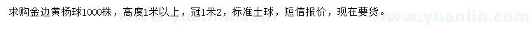 求購高度1米以上金邊黃楊球