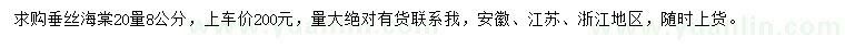 求購20量8公分垂絲海棠
