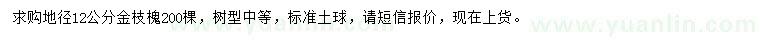 求購(gòu)地徑12公分金枝槐
