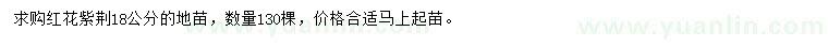 求購18公分紅花紫荊