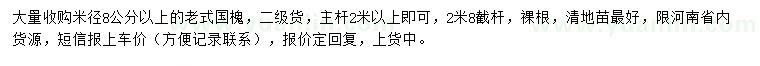 求購米徑8公分以上老式國槐
