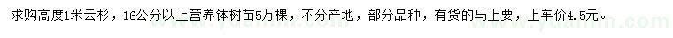 求購高度1米云杉
