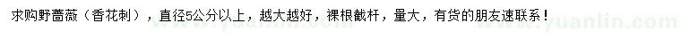 求購直徑5公分以上野薔薇
