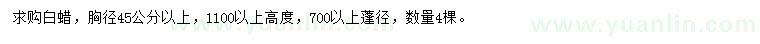 求購胸徑45公分以上白蠟