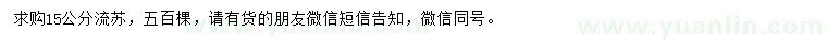 求購15公分流蘇