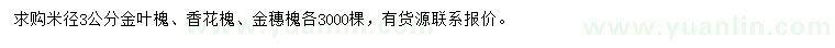 求購(gòu)金葉槐、香花槐、金穗槐