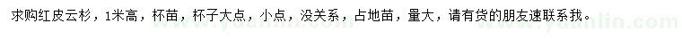 求購高1米紅皮云杉