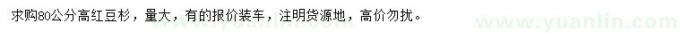 求購高80公分紅豆杉