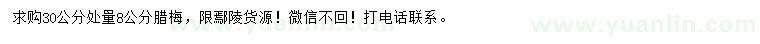 求購30公分處量8公分臘梅