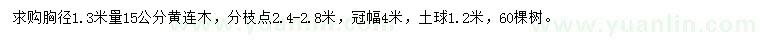 求購胸徑1.3米量15公分黃連木