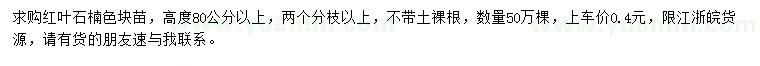 求購高80公分以上紅葉石楠