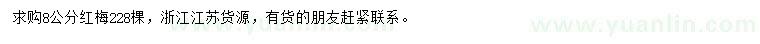 求購8公分紅梅