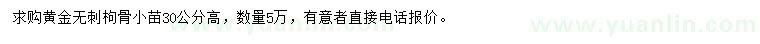 求購高30公分黃金無刺枸骨小苗