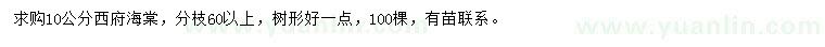 求購10公分西府海棠