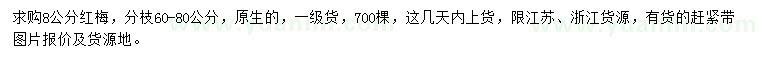 求購8公分紅梅