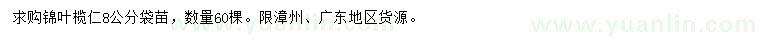 求購8公分錦葉欖仁
