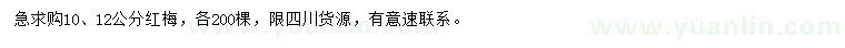 求購10、12公分紅梅