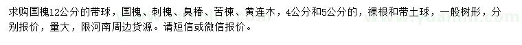 求購國槐、刺槐、臭椿等