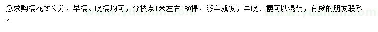 求購25公分櫻花