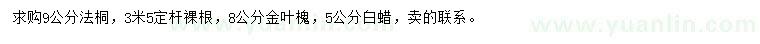 求購法桐、金葉槐、白蠟