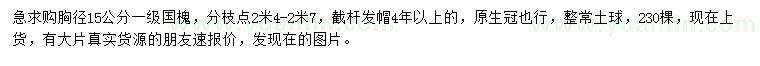 求購胸徑15公分國槐