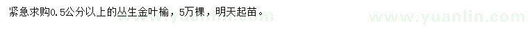 求購0.5公分以上叢生金葉榆