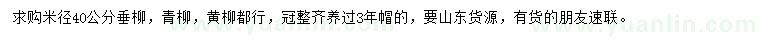 求購(gòu)米徑40公分垂柳
