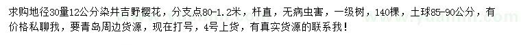 求購(gòu)地徑30量12公分染井吉野櫻花