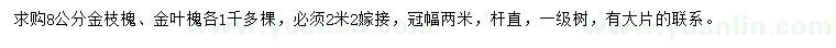 求購(gòu)8公分金枝槐、金葉槐