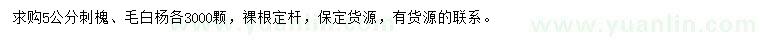 求購5公分刺槐、毛白楊