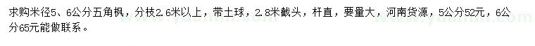 求購米徑5、6公分五角楓
