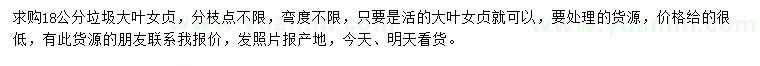 求購18公分大葉女貞