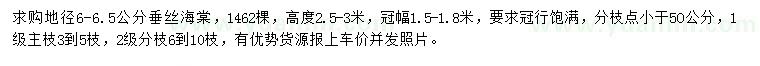 求購(gòu)地徑6-6.5公分垂絲海棠