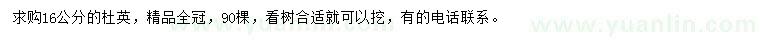 求購16公分杜英
