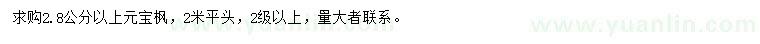 求購(gòu)2.8公分以上元寶楓