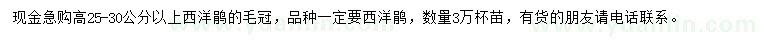 求購高25-30公分以上西洋鵑