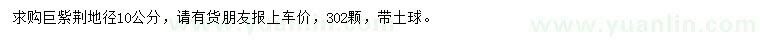 求購地徑10公分巨紫荊