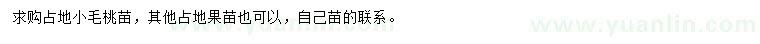 求購(gòu)占地小毛桃苗