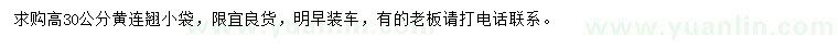 求購(gòu)高30公分黃連翹
