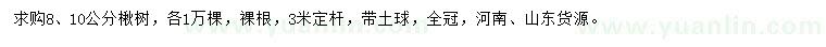 求購(gòu)8、10公分楸樹(shù)