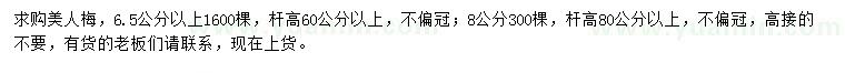 求購6.5公分以上、8公分美人梅