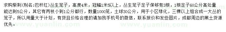 求購高度4米紫荊