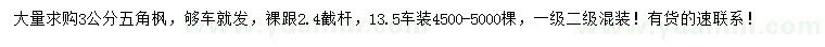求購3公分五角楓