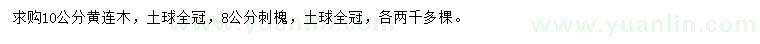 求購10公分黃連木、8公分刺槐