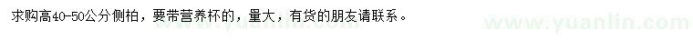 求購(gòu)高40-50公分側(cè)柏小苗