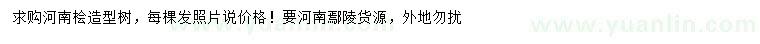 求購(gòu)河南檜造型樹