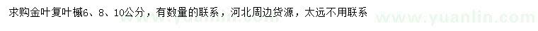 求購(gòu)6、8、10公分金葉復(fù)葉槭