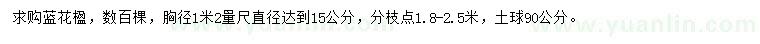 求購(gòu)1.2米量15公分藍(lán)花楹