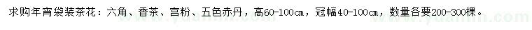 求購高60-100公分茶花