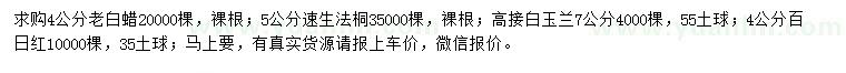 求購(gòu)老白蠟、速生法桐、高接白玉蘭等